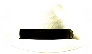 Borsalino panama fino Sfr. 355.-