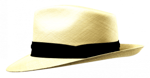 Stetson Panama Natur Sfr. 289.-