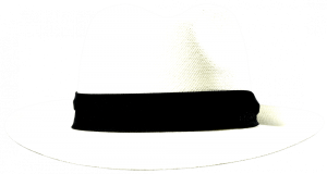 Panama Stetson bleached Sfr. 265.-