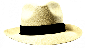 Panama Stetson Naturel Sfr. 289.-